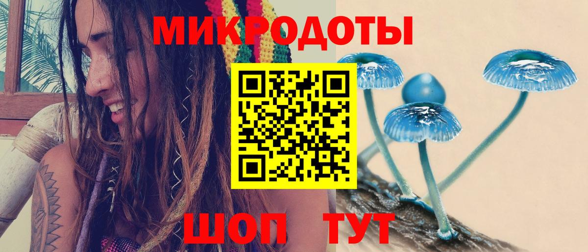 Галлюциногенные грибы ЛСД  где можно купить наркотик  Тихорецк  Псилоцибиновые грибы мицелий  Вход с VPN 